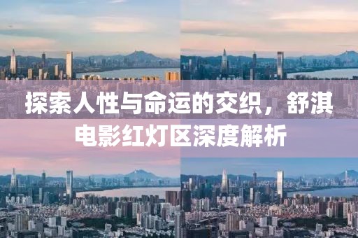 探索人性与命运的交织，舒淇电影红灯区深度解析
