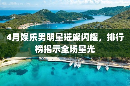 4月娱乐男明星璀璨闪耀，排行榜揭示全场星光