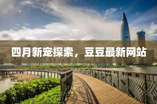 四月新宠探索，豆豆最新网站