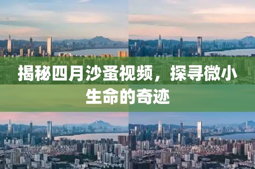 揭秘四月沙蚤视频，探寻微小生命的奇迹