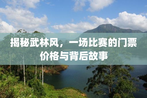 揭秘武林风，一场比赛的门票价格与背后故事
