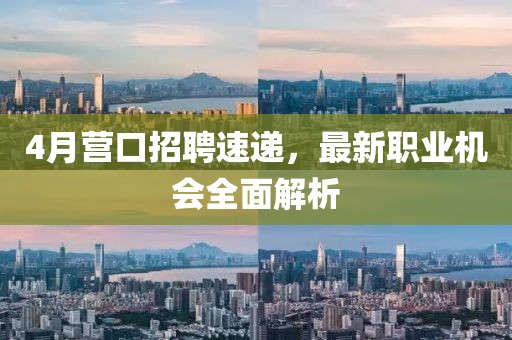 4月营口招聘速递，最新职业机会全面解析