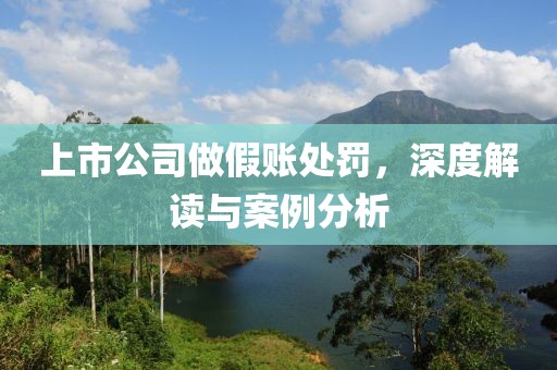 上市公司做假账处罚，深度解读与案例分析