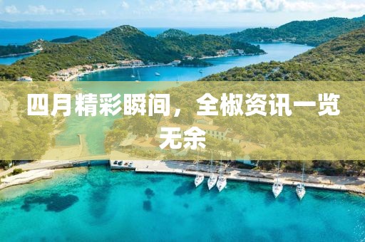 四月精彩瞬间，全椒资讯一览无余