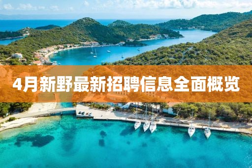 4月新野最新招聘信息全面概览