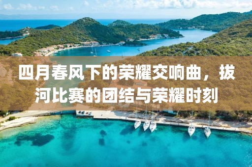 四月春风下的荣耀交响曲，拔河比赛的团结与荣耀时刻
