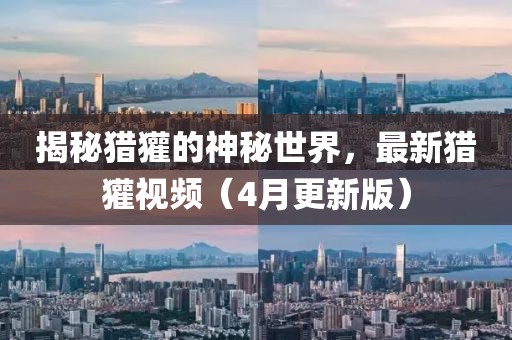 揭秘猎獾的神秘世界，最新猎獾视频（4月更新版）