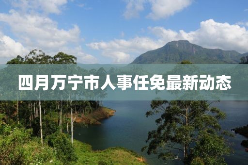 四月万宁市人事任免最新动态