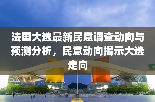法国大选最新民意调查动向与预测分析，民意动向揭示大选走向