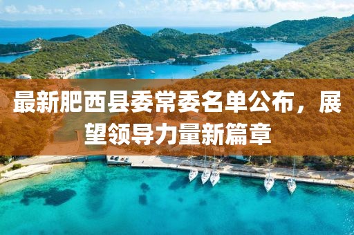 最新肥西县委常委名单公布，展望领导力量新篇章