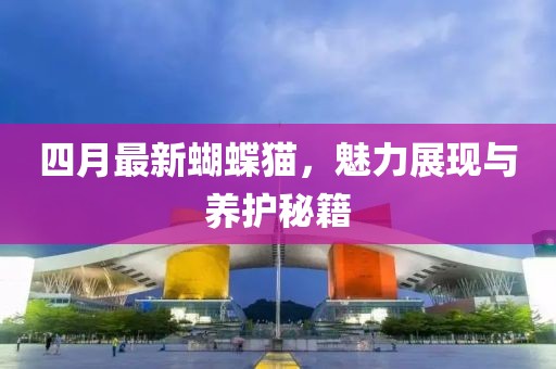 四月最新蝴蝶猫，魅力展现与养护秘籍