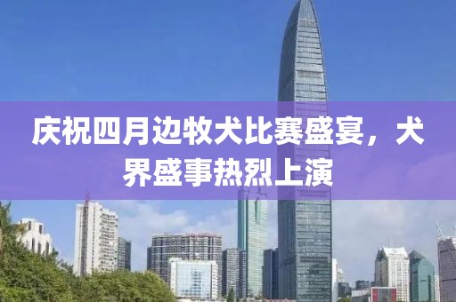 庆祝四月边牧犬比赛盛宴，犬界盛事热烈上演