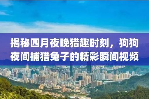 揭秘四月夜晚猎趣时刻，狗狗夜间捕猎兔子的精彩瞬间视频