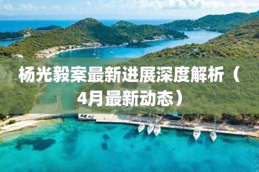 杨光毅案最新进展深度解析（4月最新动态）
