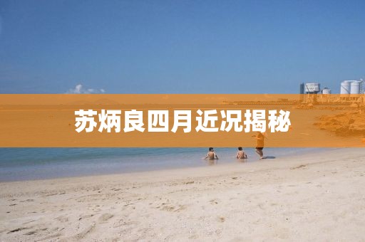 苏炳良四月近况揭秘
