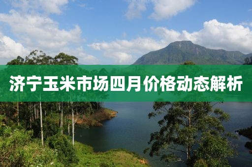 济宁玉米市场四月价格动态解析