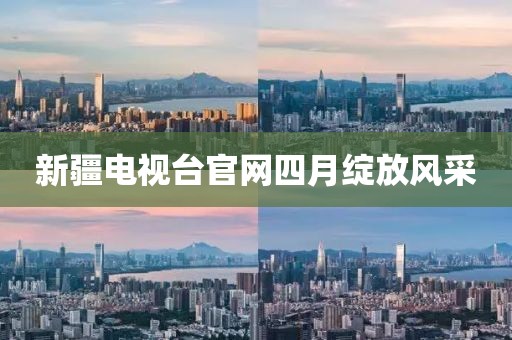 新疆电视台官网四月绽放风采