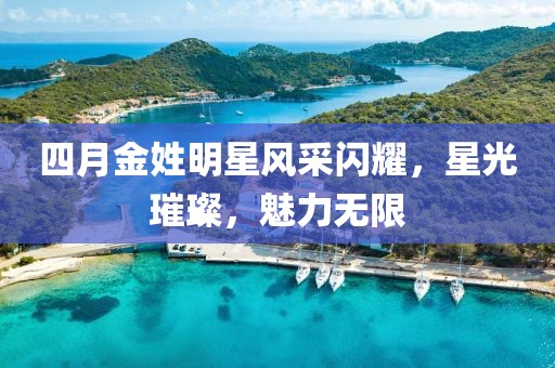 四月金姓明星风采闪耀，星光璀璨，魅力无限