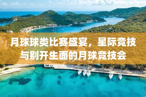 月球球类比赛盛宴，星际竞技与别开生面的月球竞技会