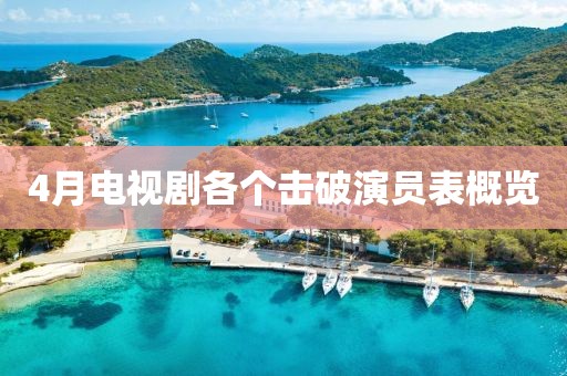 4月电视剧各个击破演员表概览
