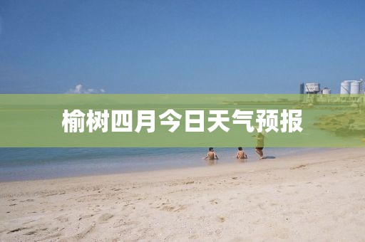 玄菊华