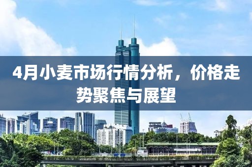 4月小麦市场行情分析，价格走势聚焦与展望
