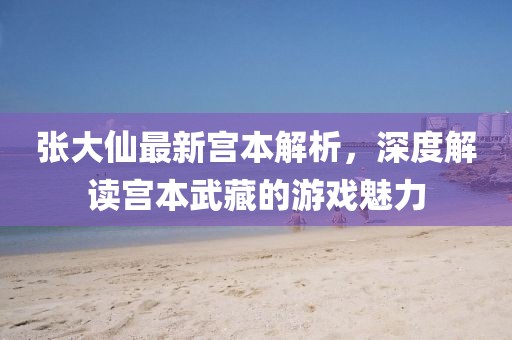 张大仙最新宫本解析，深度解读宫本武藏的游戏魅力