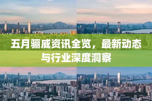 五月骊威资讯全览，最新动态与行业深度洞察