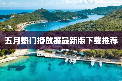五月热门播放器最新版下载推荐