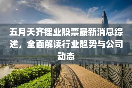 五月天齐锂业股票最新消息综述，全面解读行业趋势与公司动态
