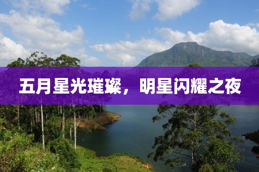 五月星光璀璨，明星闪耀之夜