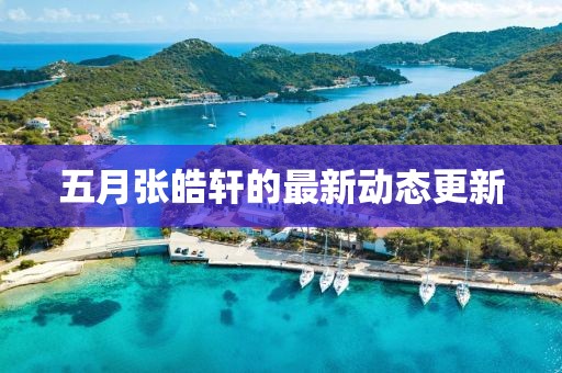 五月张皓轩的最新动态更新