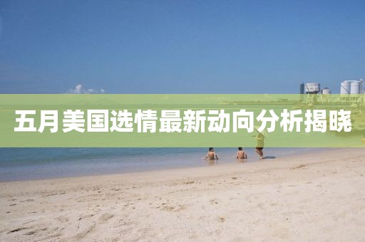 五月美国选情最新动向分析揭晓