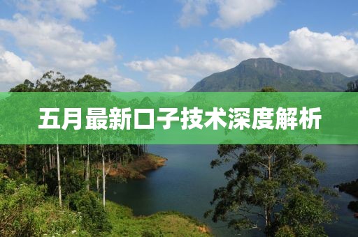 五月最新口子技术深度解析