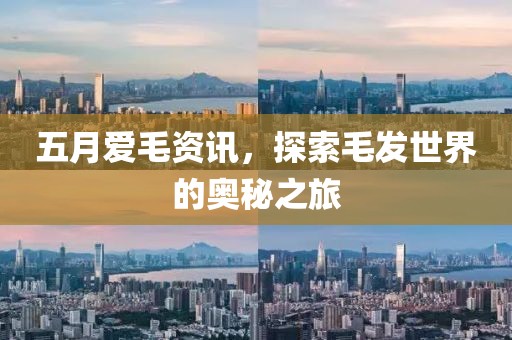 五月爱毛资讯，探索毛发世界的奥秘之旅