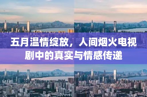 五月温情绽放，人间烟火电视剧中的真实与情感传递