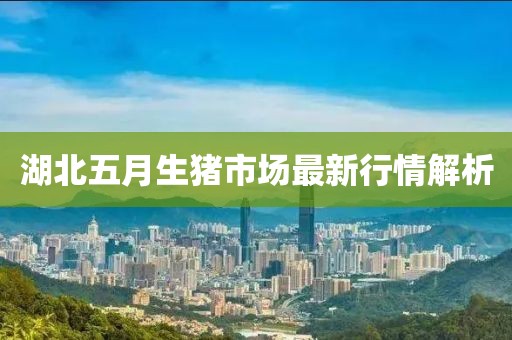 湖北五月生猪市场最新行情解析