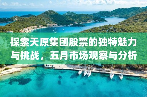 探索天原集团股票的独特魅力与挑战，五月市场观察与分析