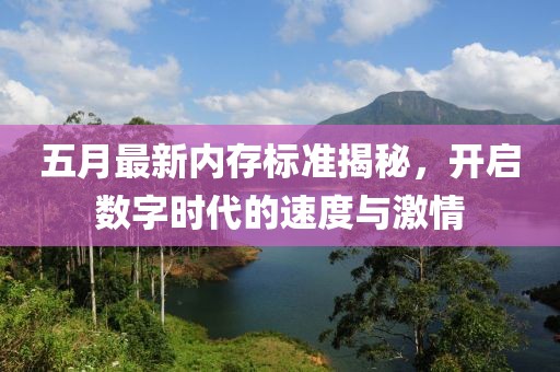 五月最新内存标准揭秘，开启数字时代的速度与激情