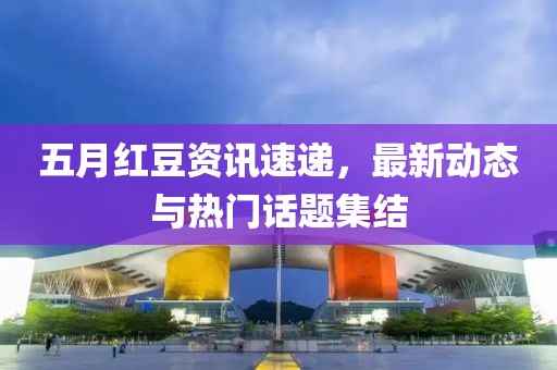 五月红豆资讯速递，最新动态与热门话题集结