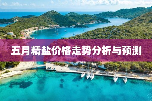 五月精盐价格走势分析与预测