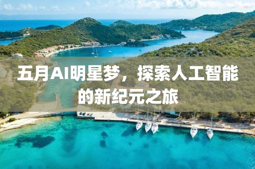 五月AI明星梦，探索人工智能的新纪元之旅