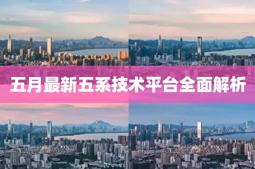 五月最新五系技术平台全面解析