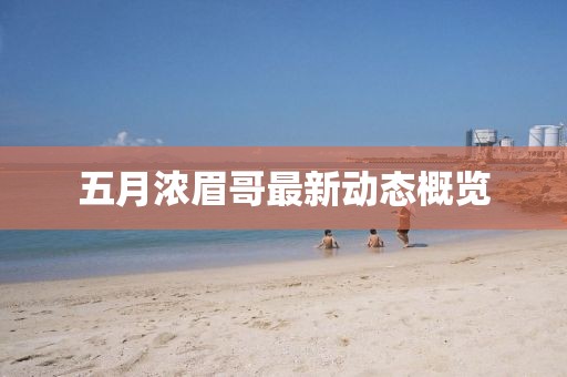 离戈