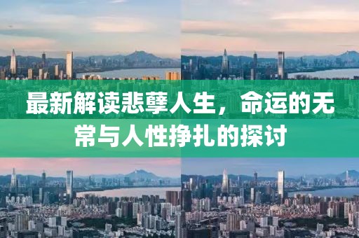 最新解读悲孽人生，命运的无常与人性挣扎的探讨