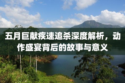 五月巨献疾速追杀深度解析，动作盛宴背后的故事与意义
