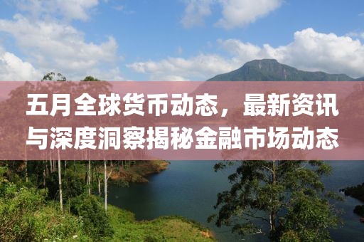 五月全球货币动态，最新资讯与深度洞察揭秘金融市场动态