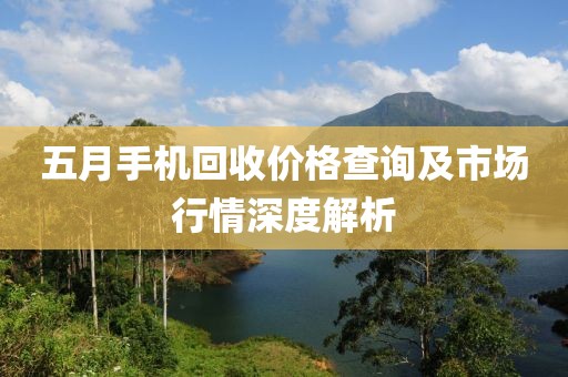 五月手机回收价格查询及市场行情深度解析
