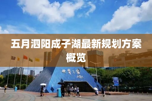 五月泗阳成子湖最新规划方案概览