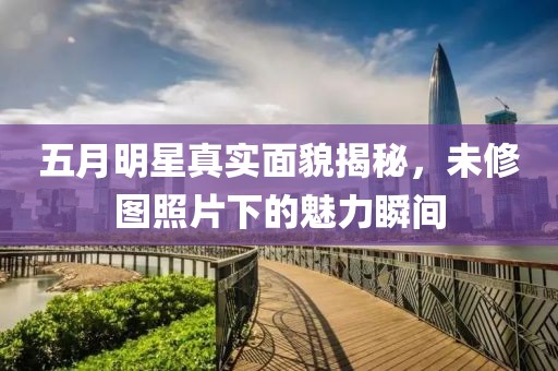 五月明星真实面貌揭秘，未修图照片下的魅力瞬间